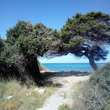 Apartamento Apartment- Fronte